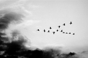 In to the unknown