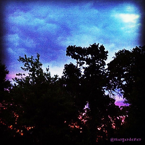 morning sky