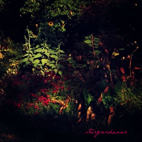 shadow garden