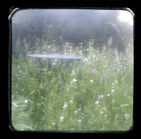 sidelong wild garden