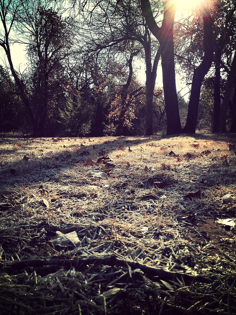 011113 road to enlightment