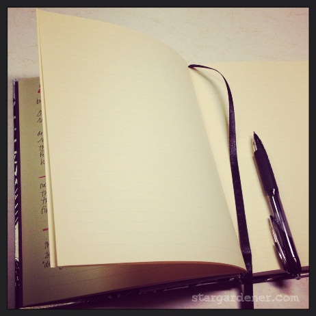 17 blank journal