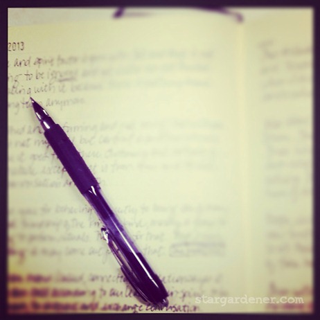 17 handwritten journal page
