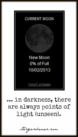 in darkness there are always points of light unseen